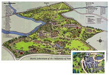 Morris Arboretum Map